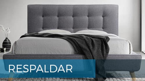 categoria-respaldar